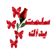 ألبوم عناقيد .... للشيخ مشاري العفاسي  ( جديد ) 480323